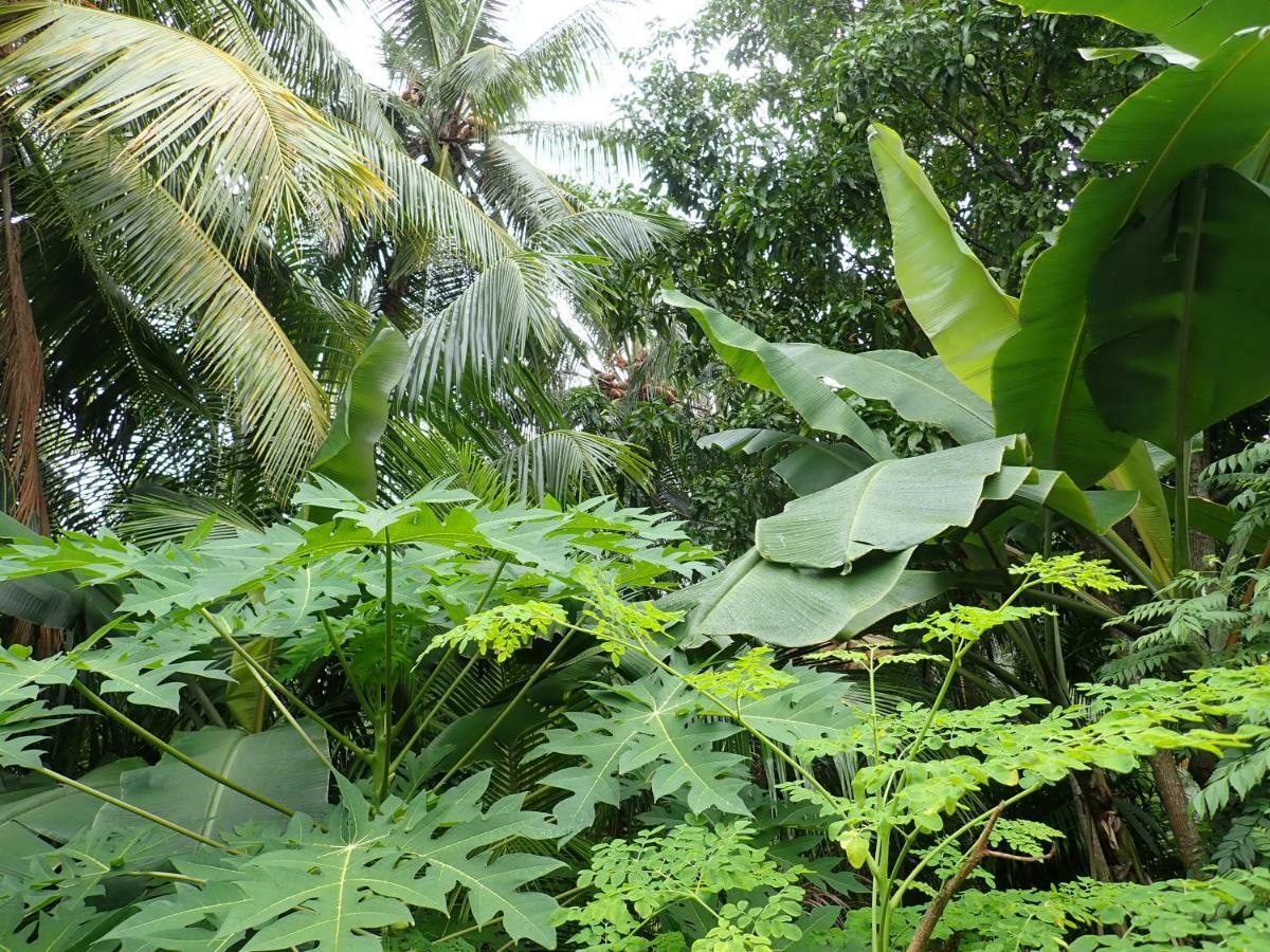 Fuvahmulah inn Exterior foto